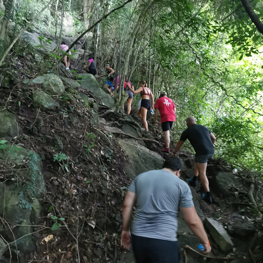 Go on hikes and explore the beautiful island of Ko Samui during your stay at the fitness retreat!